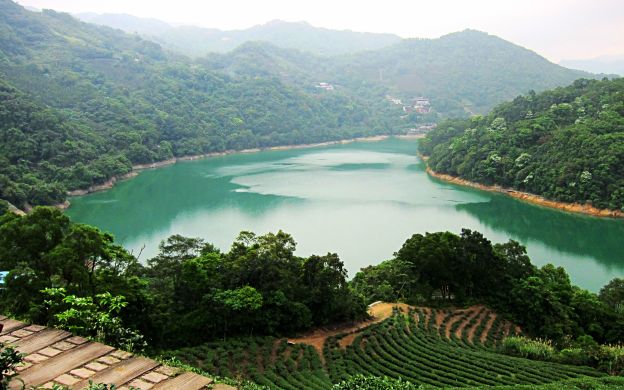 Hồ Thousand Island và đồn điền trà Pinglin từ Đài Bắc